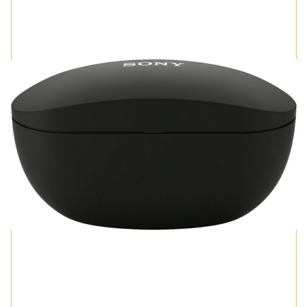 Sony Headphone/earbuds